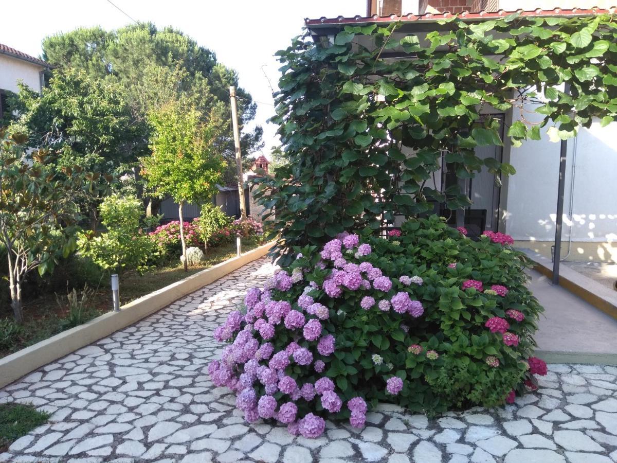 Apartments And Room Markovic Rovinjsko Selo Exterior photo