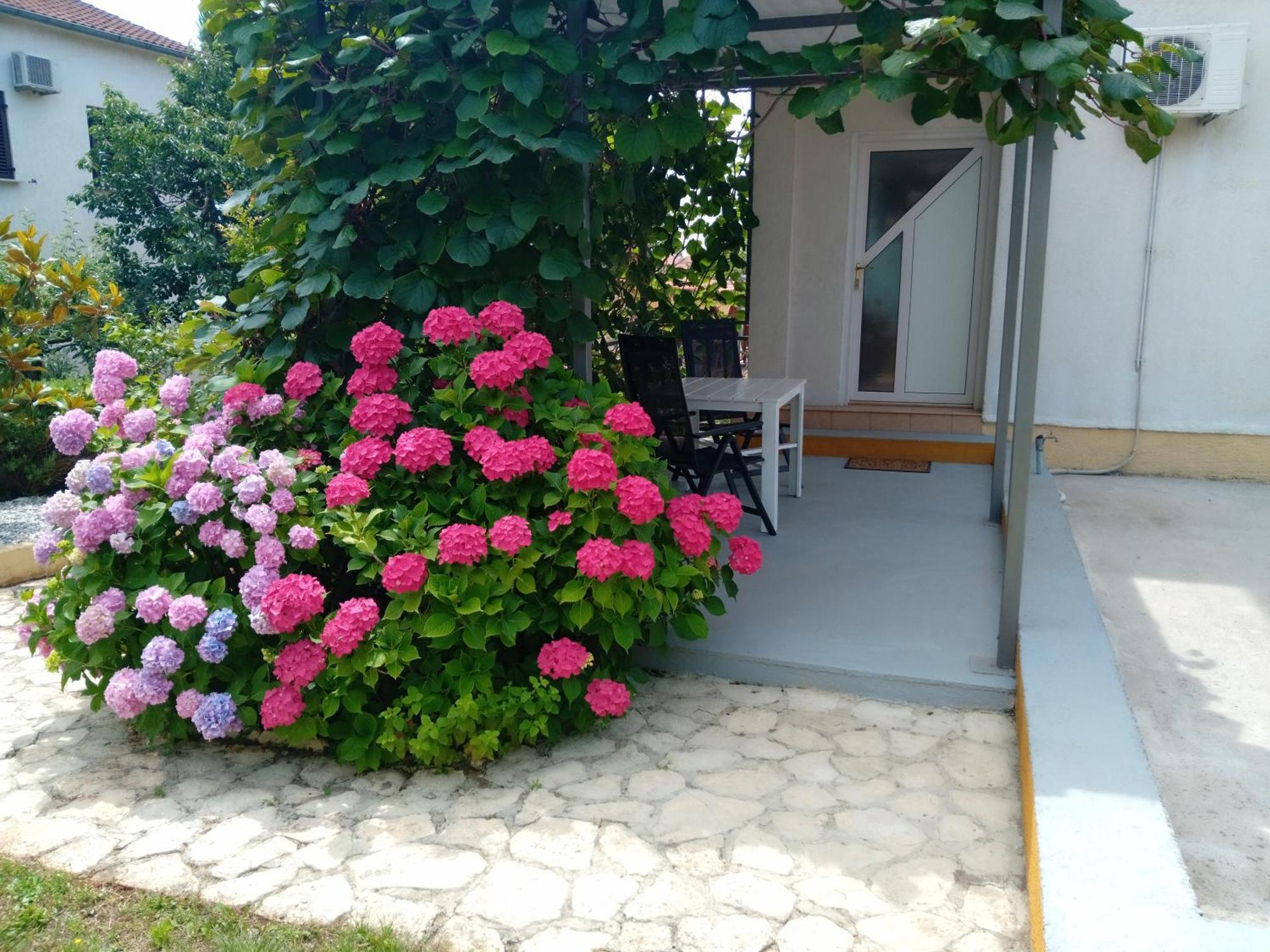 Apartments And Room Markovic Rovinjsko Selo Exterior photo